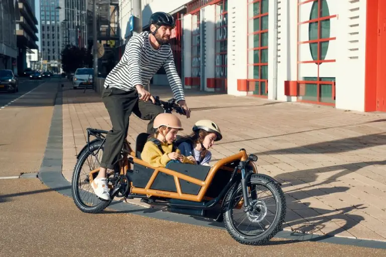 Riese & Müller Load4 75 EASY