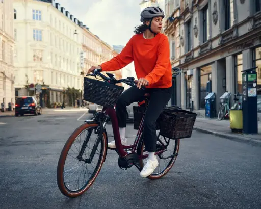 Riese & Müller Swing4 Vario